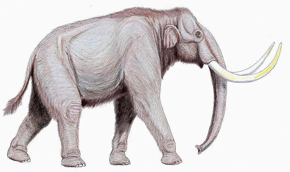Dire Wolf: The Ice Age Predator That Wasn't Actually a Wolf
