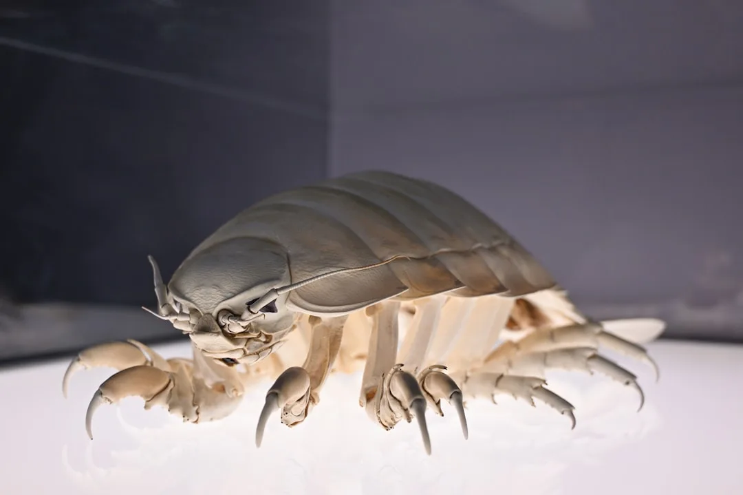 Crustaceans: The Armored Wonders of the Ocean