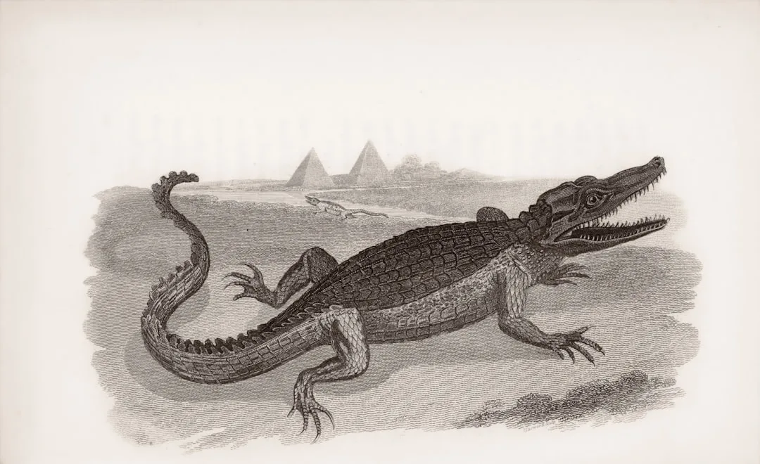 Crocodilians: Evolution and Species Overview