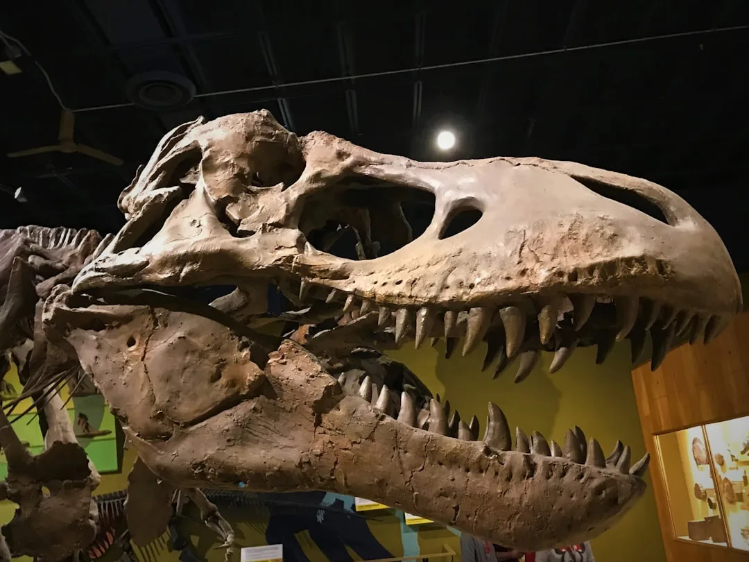 T. Rex: Facts About the Ultimate Predator