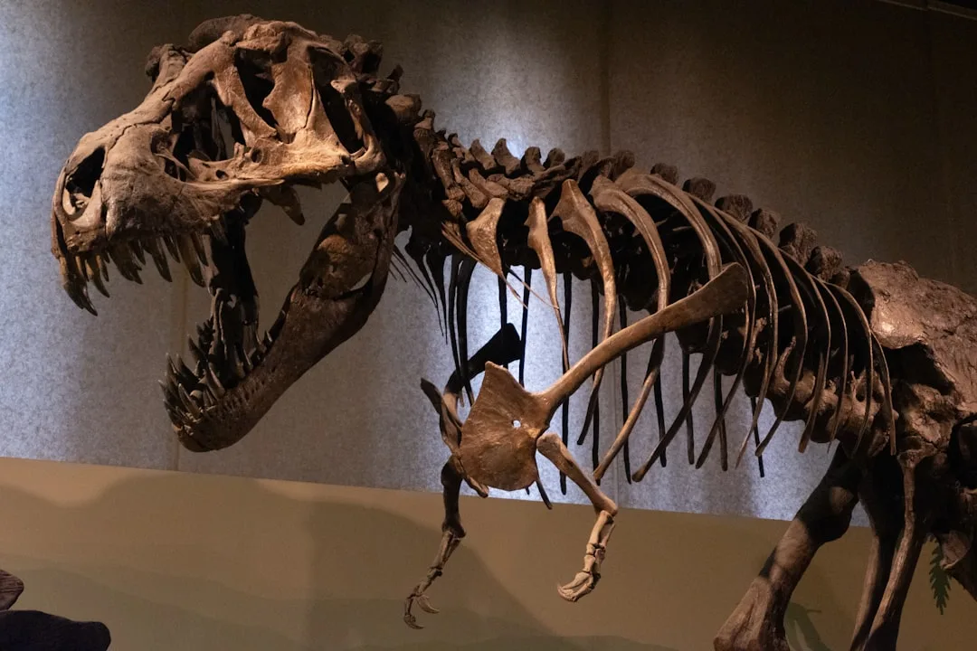 Tyrannosaurus rex