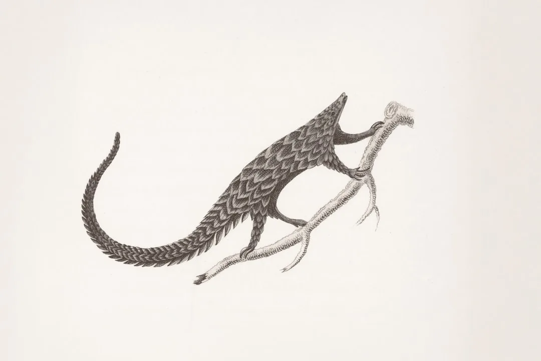Hallucigenia