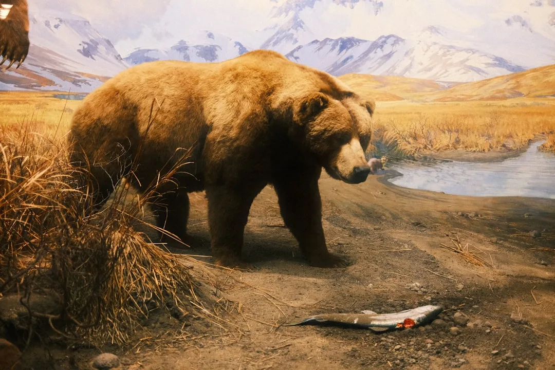 Giant Ground Sloth