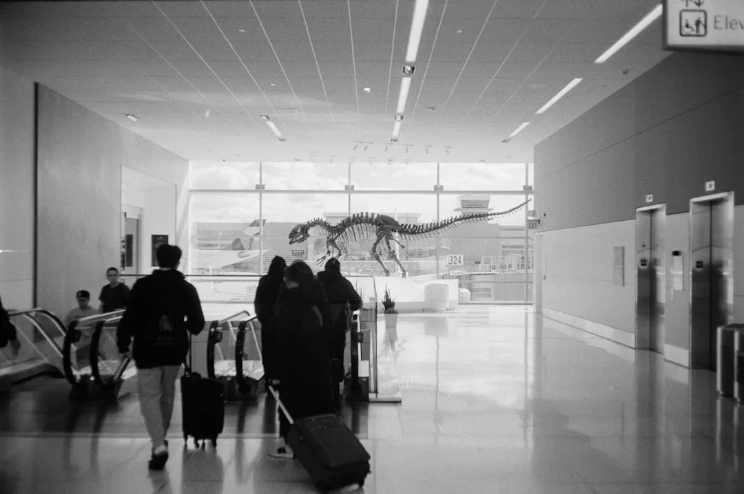 Passenger Pigeon