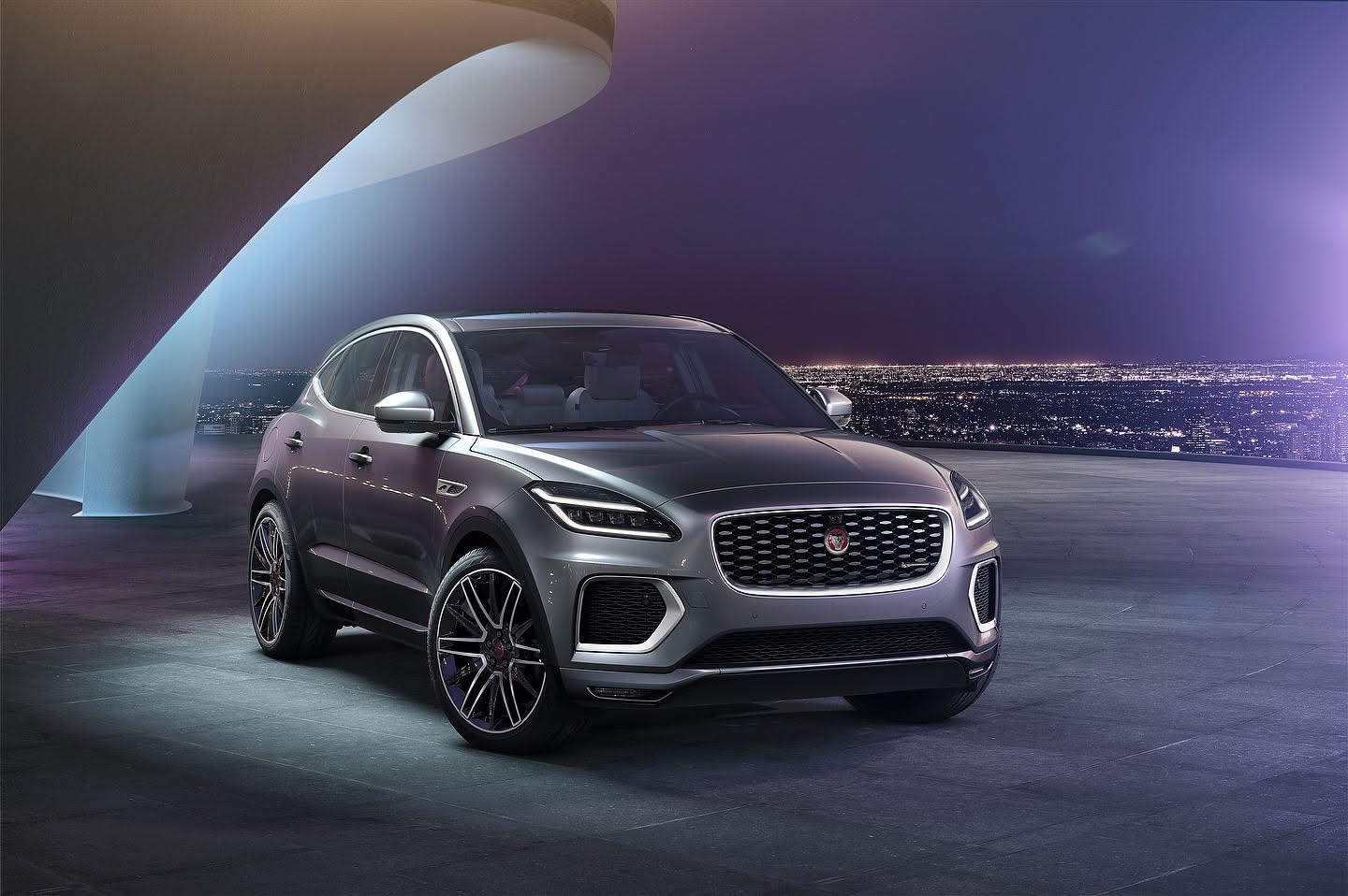 Jaguar Overview: Apex Predator Insights