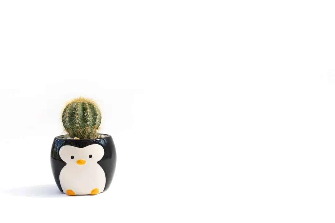 Little Penguin