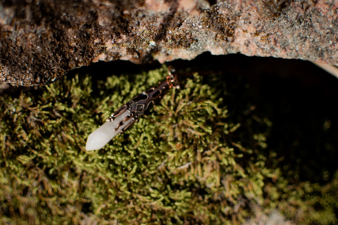 Eastern Subterranean Termite