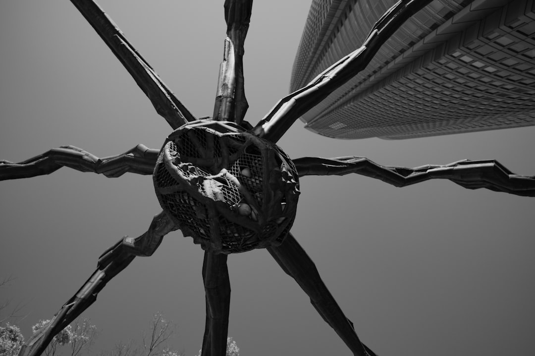 Japanese Spider Crab