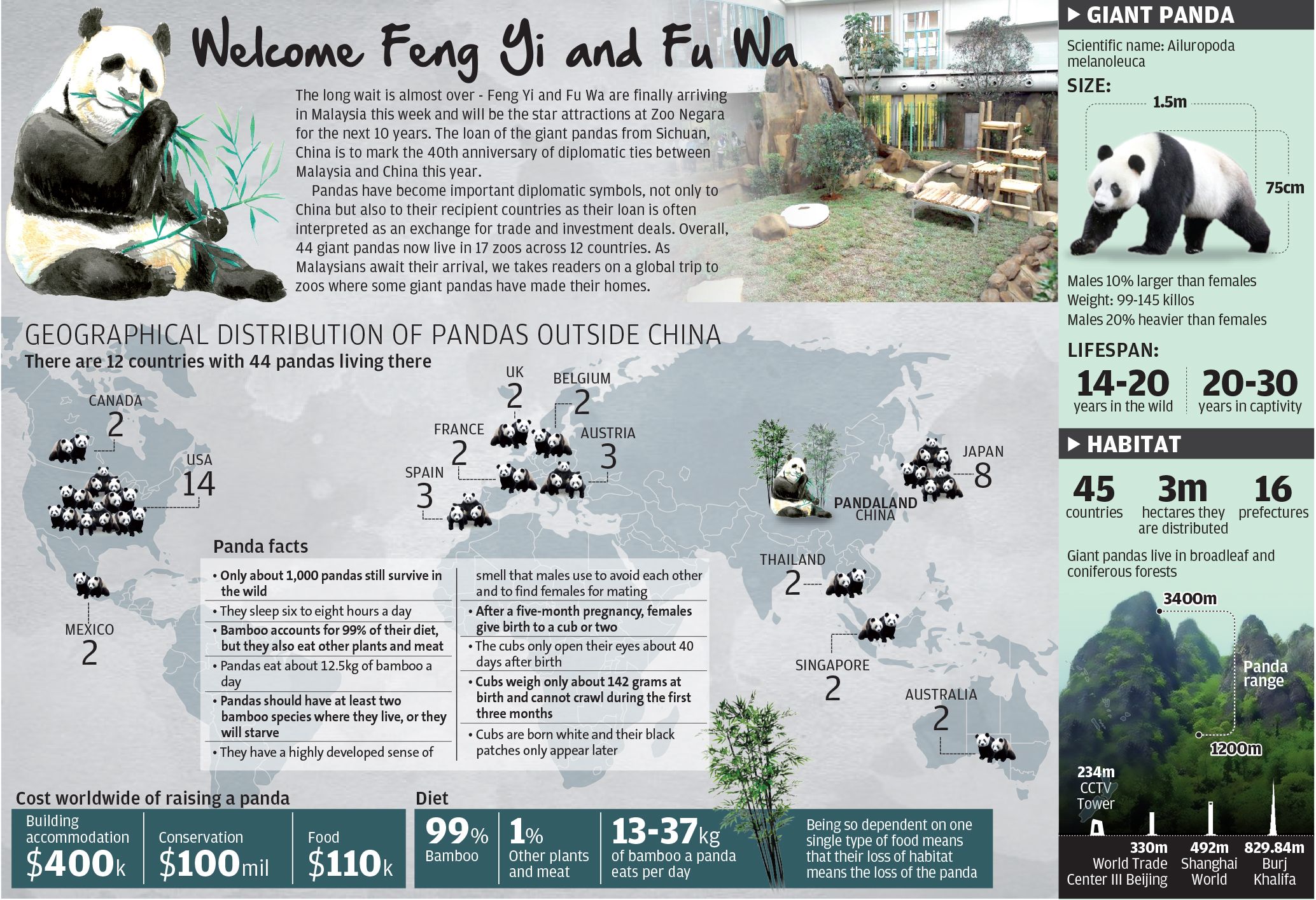 Current Panda Populations: Wild and Captive Numbers