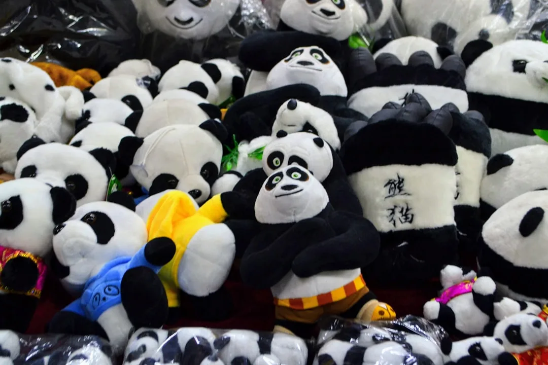 What Do Pandas Do All Day? A 24-Hour Look at Panda Life