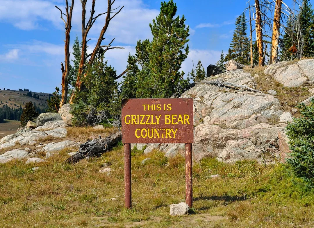 Where Do Grizzly Bears Live? Range Maps, Recovery Zones, ...