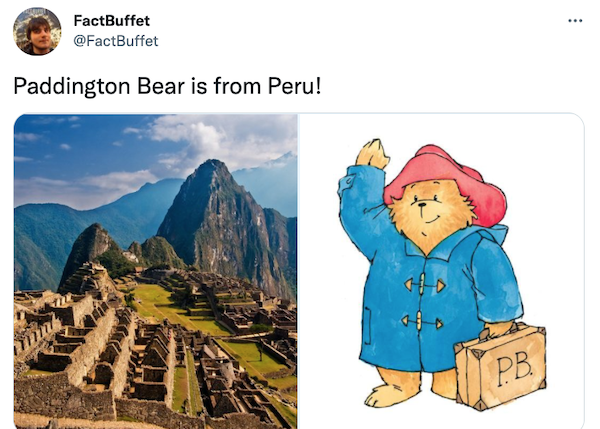 Spectacled Bear vs Paddington: The Real Andean Bear