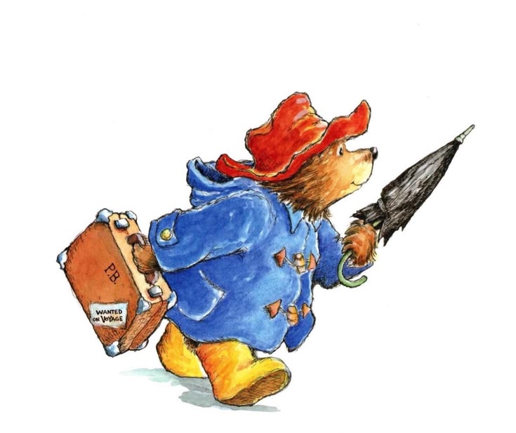Spectacled Bear vs Paddington: The Reality Behind the Icon