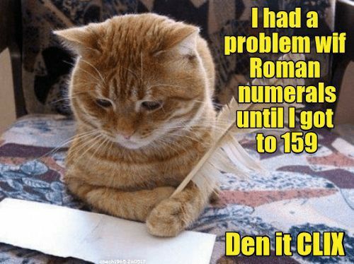 Why Is Feline Intelligence Underestimated?