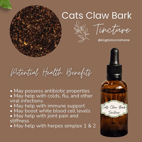 Signs of a Healthy Cat: Essential Health Indicators
