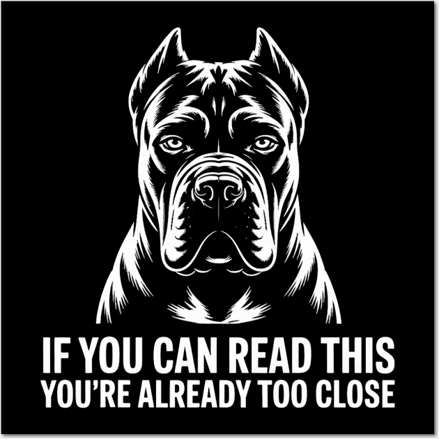 Cane Corso: Complete Breed Guide