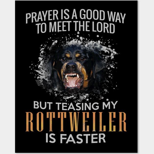 Rottweiler