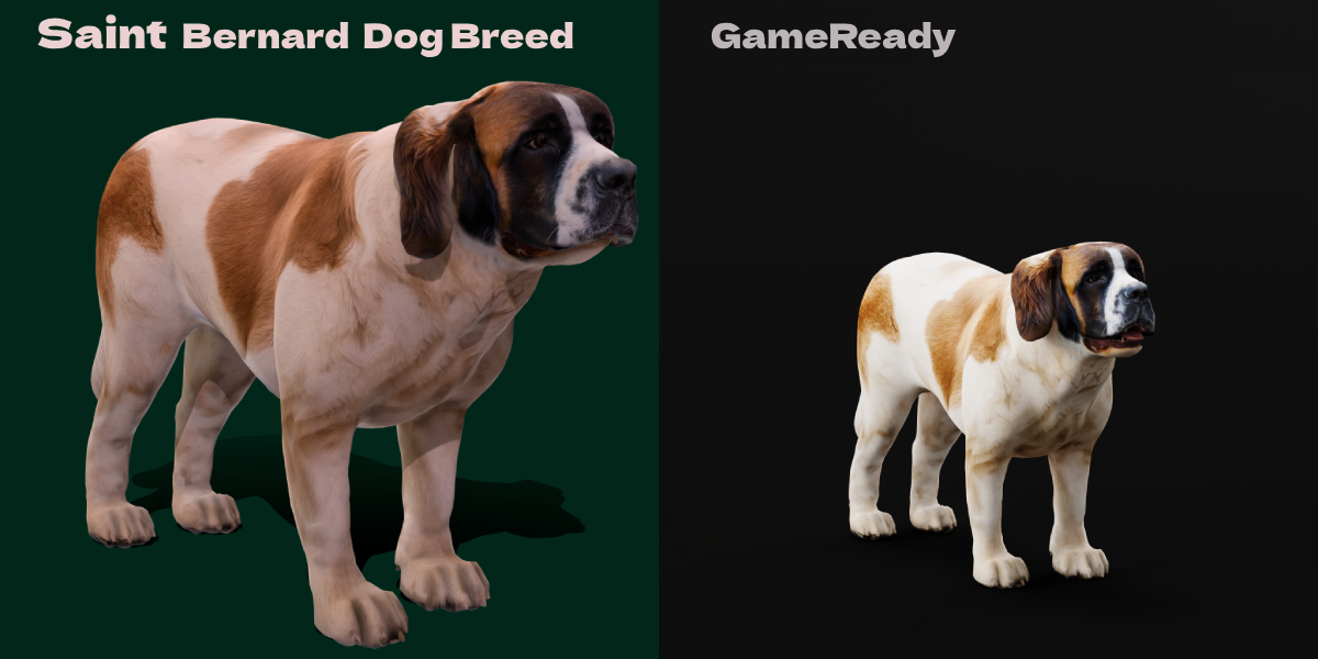 Saint Bernard Breed Guide Overview