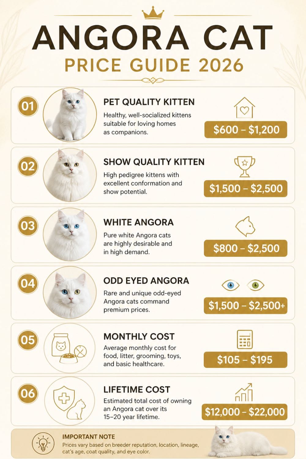Turkish Angora Cat Guide