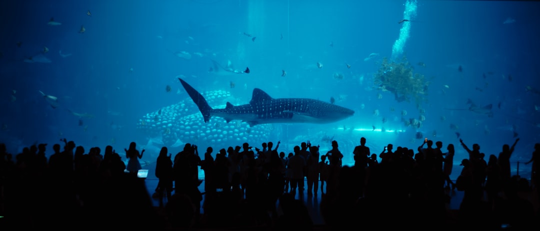 How Many People Do Sharks Kill Per Year? Attack Statistics, Trends, and Risk Analysis