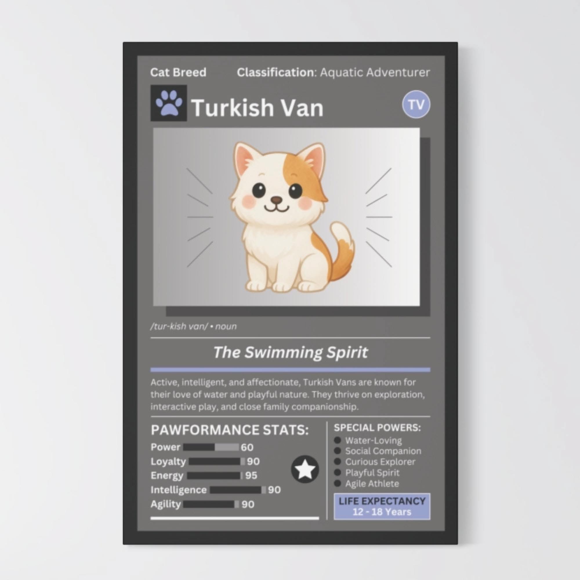 Turkish Van Cat Overview