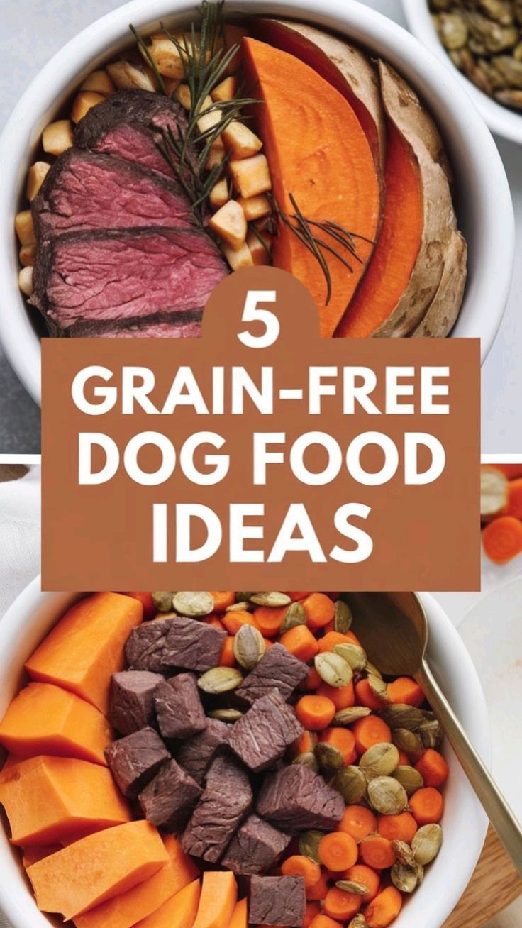 Grain-Free Dog Food Explained