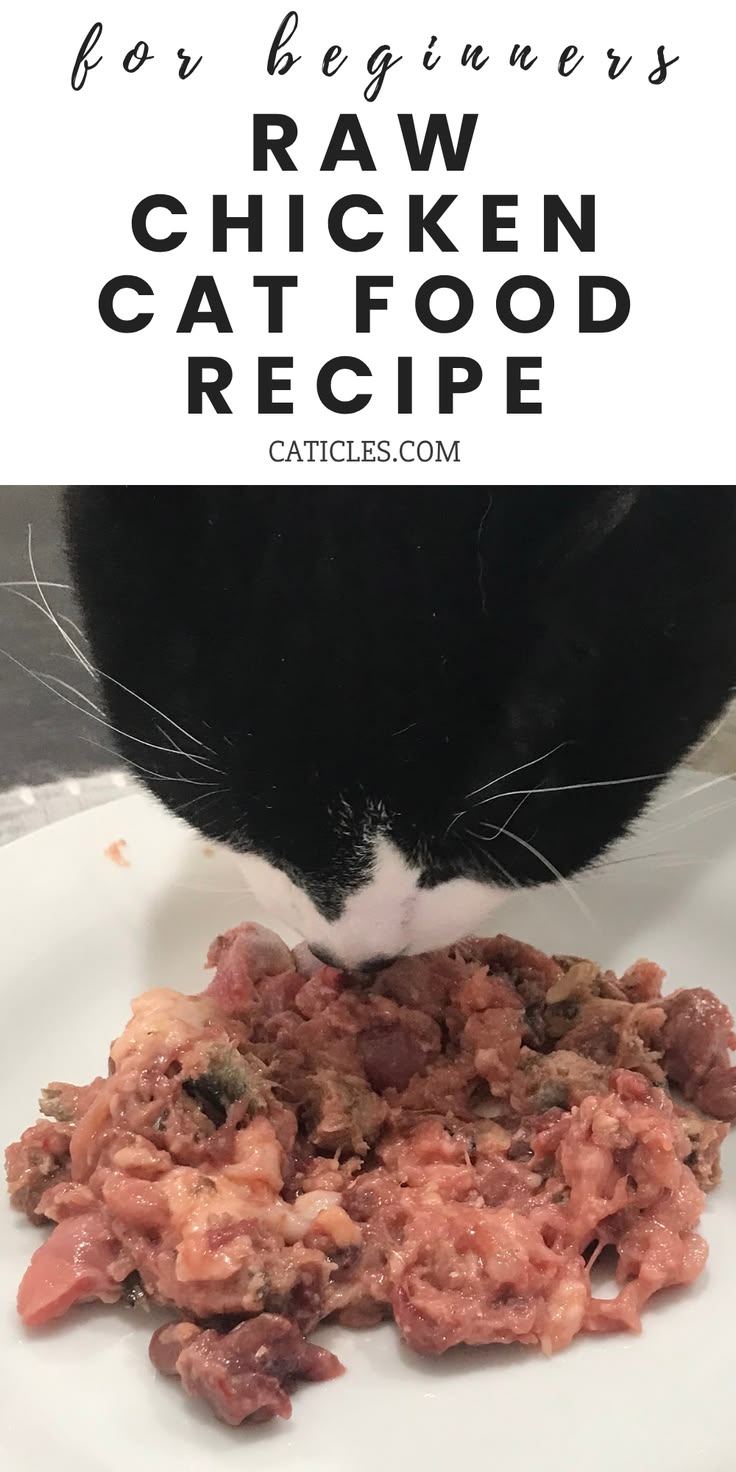 Raw Diet for Cats: Pros and Cons