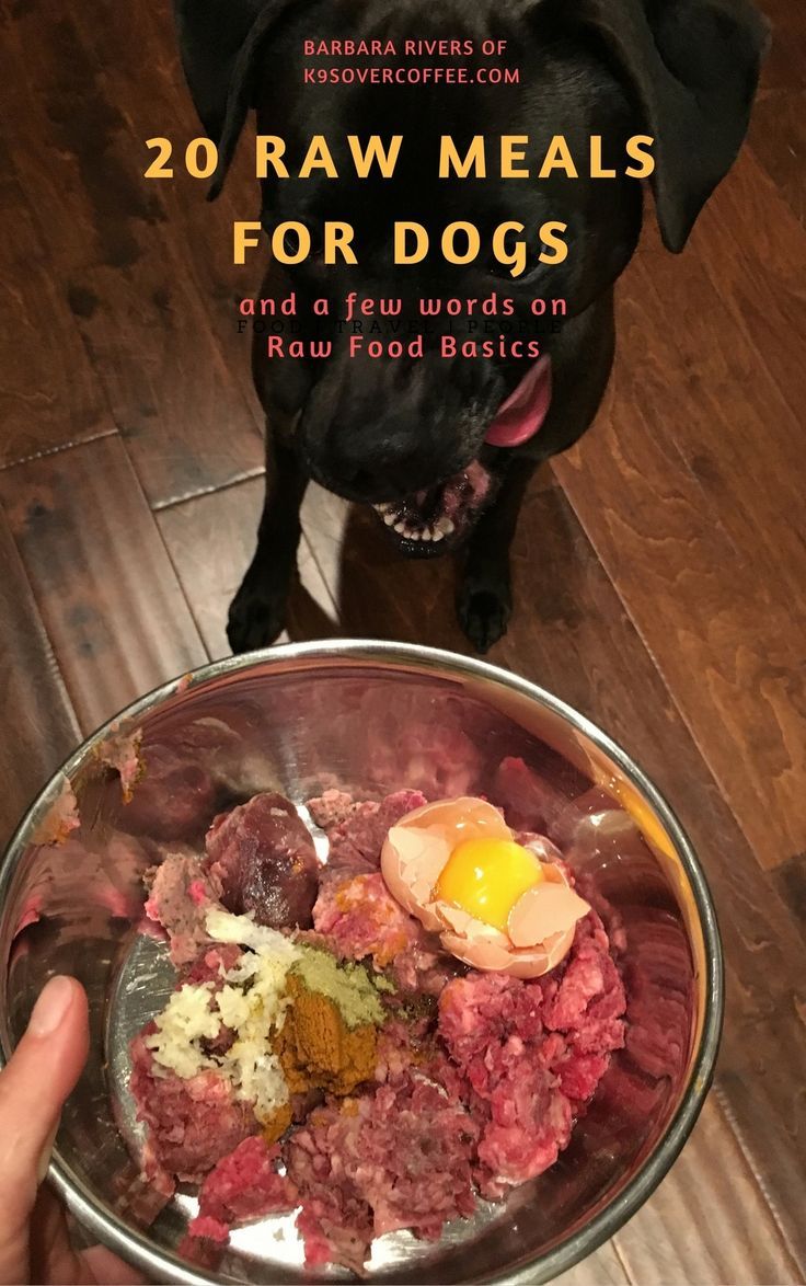 Raw Diet for Dogs: Pros and Cons