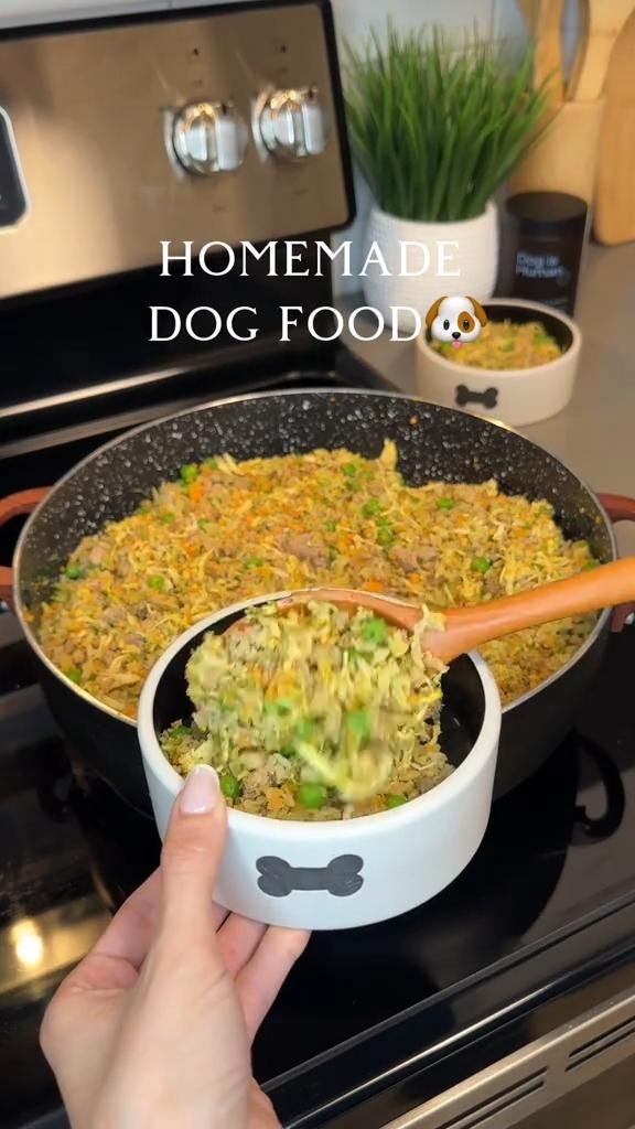 Complete Guide to Dog Foods: Safe and Unsafe Options