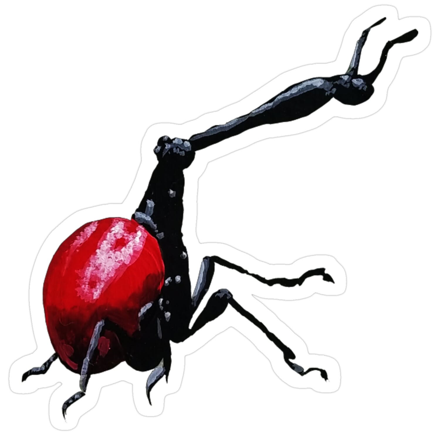 Giraffe Weevil: Madagascar’s Long-Necked Beetle Explained