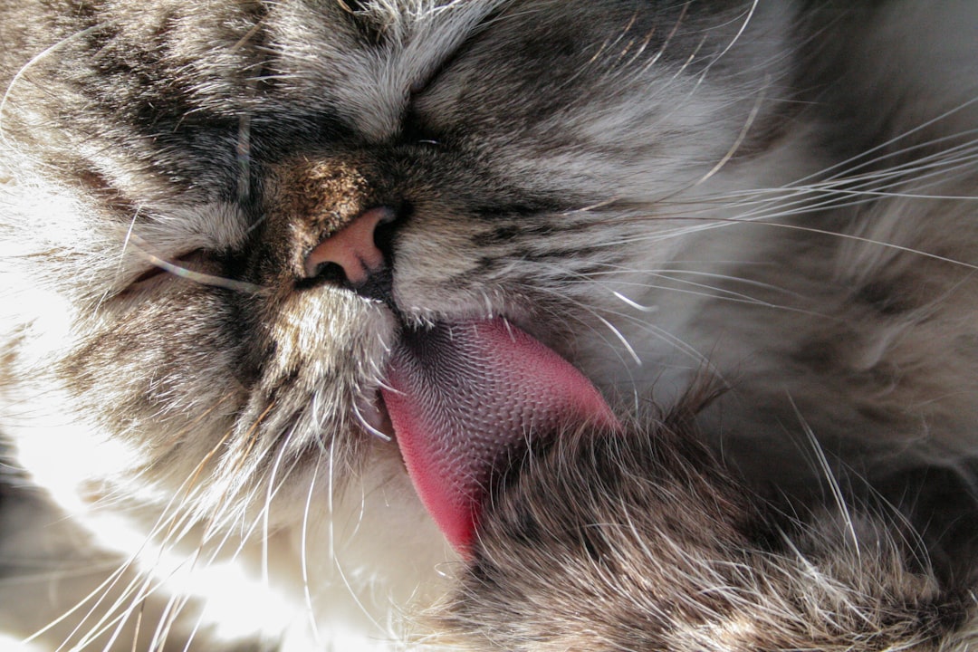 Tongue-Eating Louse: The Fish Parasite That Replaces Tongues