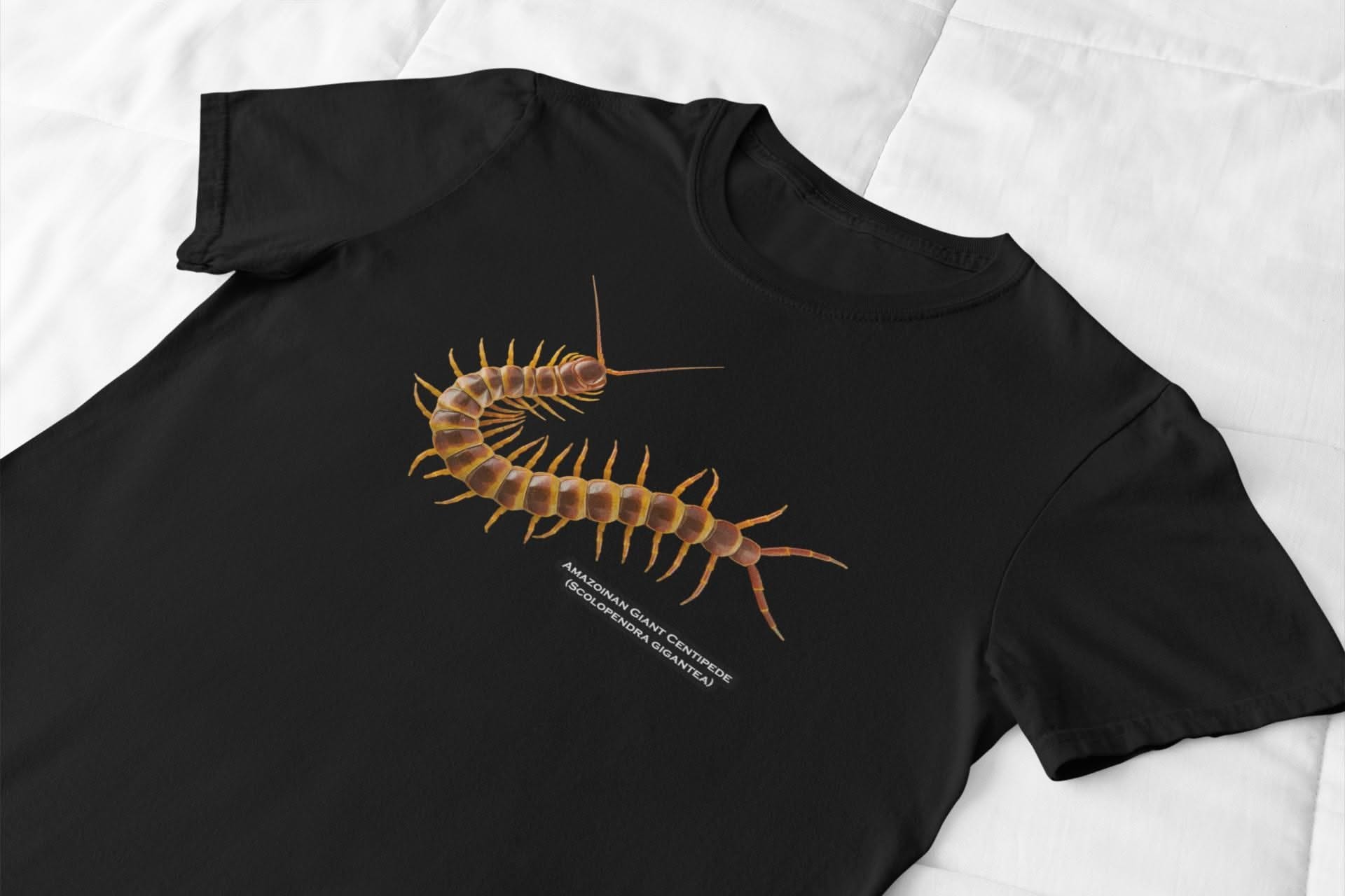 Amazonian Giant Centipede: Largest Venomous Centipede Explained