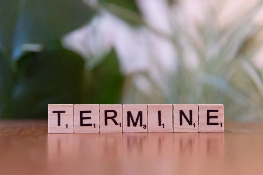 Termites: The Architects of the Insect World
