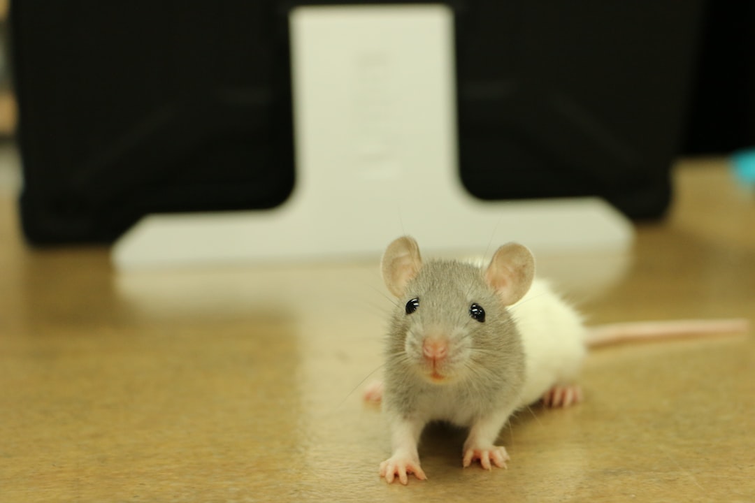 Electroreception in Mammals: Mechanisms, Evolution, and Significance