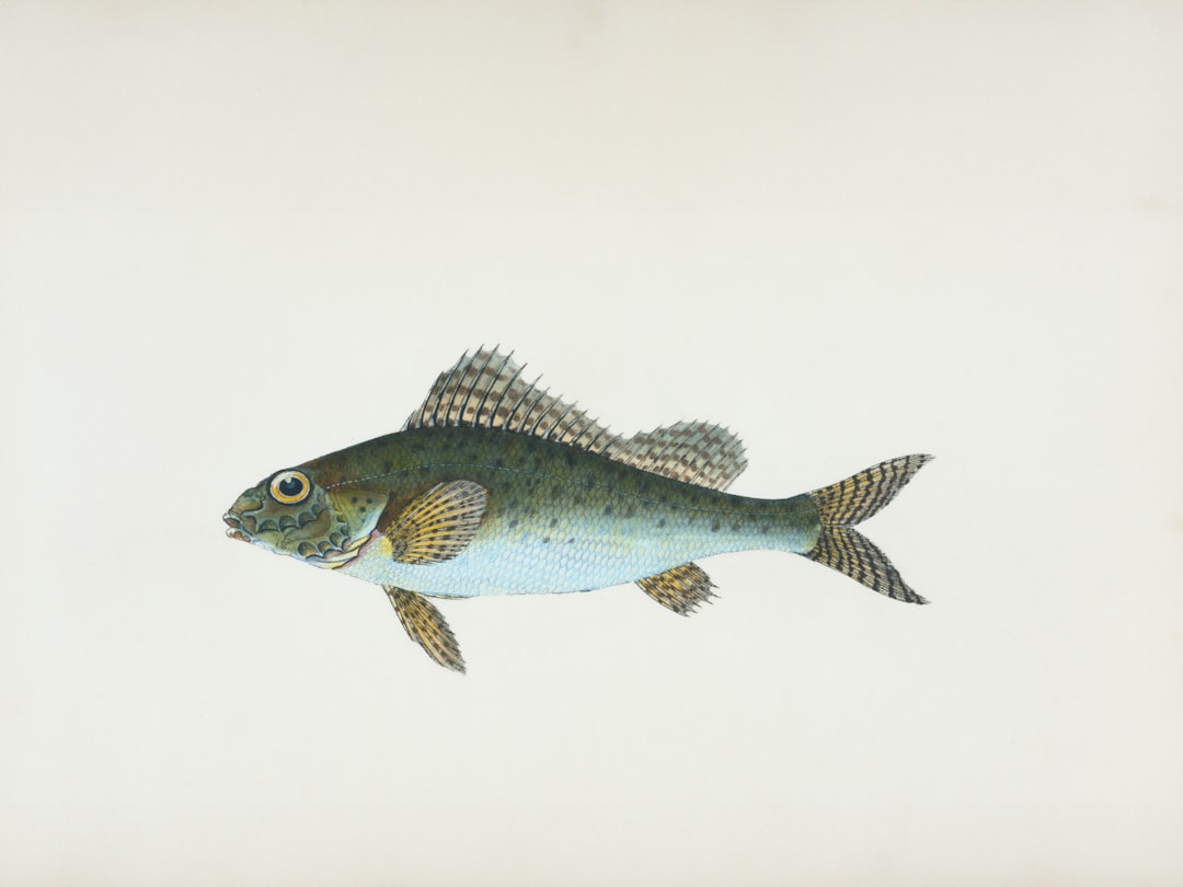 Animal Classification: Kingdom, Phylum, Class, Order Explained