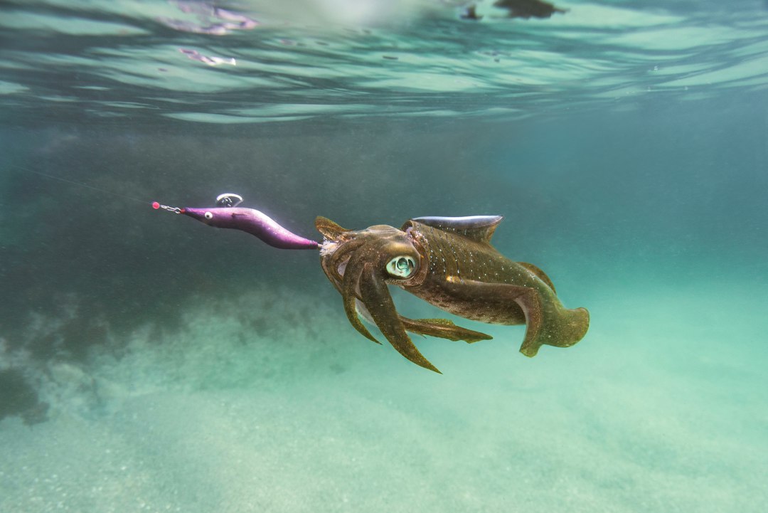 Giant Squid: The Legendary Deep-Sea Creature